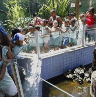 Voluntárias Sociais levam crianças ao zoológico Voluntárias Sociais levam crianças de creches ao Zoológico