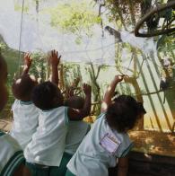 Voluntárias Sociais levam crianças ao zoológico Voluntárias Sociais levam crianças de creches ao Zoológico